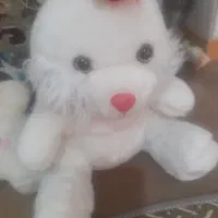 عروسک همه نوع|اسباب‌بازی بچه|کرمانشاه, |دیوار