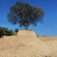 فروش زمین 300 متری  صدرا فاز 1 بلوار البرز  دیدبان