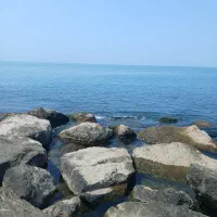 کار در ترکیه