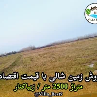 فروش زمین شالی در زیباکنار قیمت اقتصادی