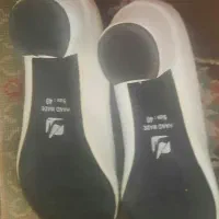 کفش مجلسی