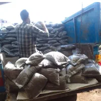 پخش خاک  گلهای اپارتمانی