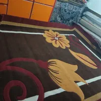 شادگان|فرش|شادگان, |دیوار