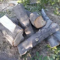 خریدار چوب