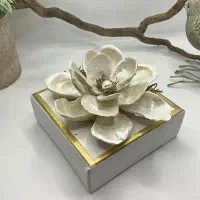 باکس گل هدیه|کلکسیون اشیاء عتیقه|بندرعباس, |دیوار