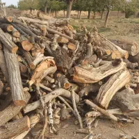 برش و بریدن و اصلاح درخت وخرید چوب