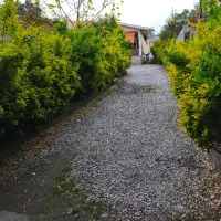 ویلا سالیانه در ساحل گیسوم