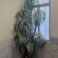 ۲ عدد درختچه مصنوعی با گلدان