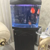 آکواریوم شیشه خم دلسا L470B
