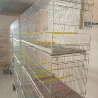 قفس|لوازم جانبی حیوانات|برخوار, |دیوار