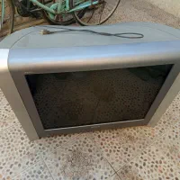 تلویزیون|تلویزیون و پروژکتور|بوشهر, |دیوار