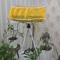 قفس و پایه قفس مدرن مناسب دکور خانه و پرنده|لوازم جانبی حیوانات|اهواز, سپیدار|دیوار