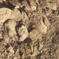 پهن یا کود گوسفندی