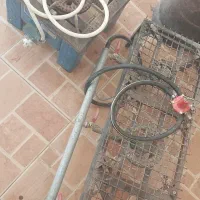 گاز