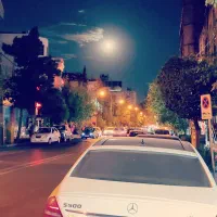 یکی از بهترین کلنگی‌ها ابعاد 29.5×16    امیدزنگنه