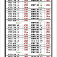 0919-200.50.48  گروه آرشــیا مـوبایل