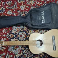 گیتار خوش طنین دالاهو