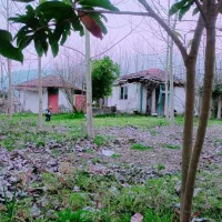 حدود 1000 متر زمین و کلنگی با امتیازات، قابل ساخت