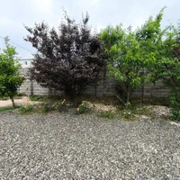 فروش زمین ۶۸۳ متری|فروش زمین و ملک کلنگی|آستارا, |دیوار