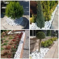 خدمات باغبانی قطره‌ای سمپاشی هرس کاشت فضای سبز