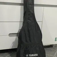 گیتار stagg بلژیک|گیتار، بیس، امپلیفایر|سقز, |دیوار