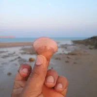 گشت جزیره قشم|تور و چارتر|قشم, |دیوار