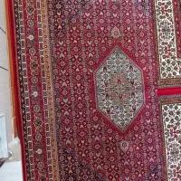 فرش|فرش|دورود, |دیوار