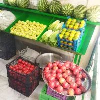 اجاره مغازه ۱۵ متری در خانی آباد نو شمالی|اجارهٔ مغازه و غرفه|تهران, خانی آباد نو شمالی|دیوار