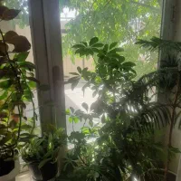 فروش منزل مسکونی دریانچشمه