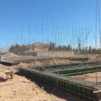 مسکن ملی قرارگاه امام حسن امیرکبیر|فعالیت داوطلبانه|معصومیه, |دیوار