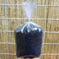 چای لاهیجان
