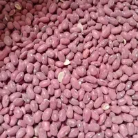خرید و فروش لوبیا سفید، قرمز و چیتی|خوردنی و آشامیدنی|کرمانشاه, |دیوار