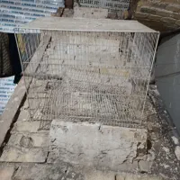 قفس پرنده|لوازم جانبی حیوانات|مشهد, پنجتن|دیوار