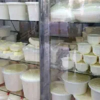 کار درتولید لبنیات سنتی