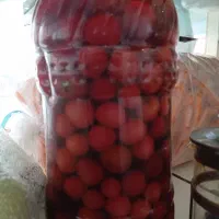 ترشی البالو