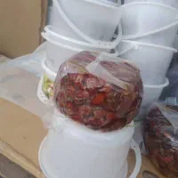 خرمای درجه یک|خوردنی و آشامیدنی|اهواز, پردیس|دیوار