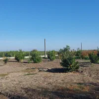 فروش زمین مسکونی|فروش زمین و ملک کلنگی|طبقده, |دیوار