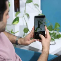 فروش فوق العاده گوشیهای TCL با حافظهٔ ۲۵۶|موبایل|شیراز, زند|دیوار