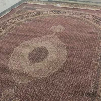 فروش فرش|فرش|شیراز, شیخ روزبهان|دیوار