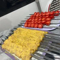 غذا آماده تربچه