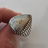 شجر بریزیلی سوزنی|جواهرات|ملایر, |دیوار