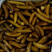 فروش خیارشورهمدان