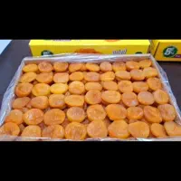 فروش قیسی،برگه وانواع آلوی خشک