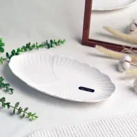 انواع ظرف های سرامیکی