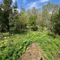 ۲۶۱ متر زمین مسکونی دور دیوار