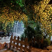 باغ 1000متری مهرآباد معاوضه با اندیشه کرج|فروش زمین و ملک کلنگی|رودهن, |دیوار