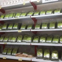 سبزیجات خشک پودینه طبس