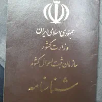 گم شده علی محمود اقای