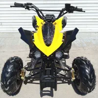 چهار چرخ 125cc چهارچرخ دنده عقب دار