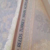 قالی|فرش|بجنورد, |دیوار